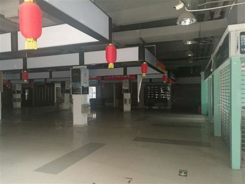 河源市廠房安全檢測鑒定機構 創新技術指導助力企業安全生產，筑牢工業發展基石